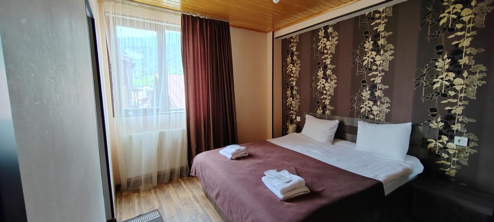 Hotel Svanseti ميستيا المظهر الخارجي الصورة