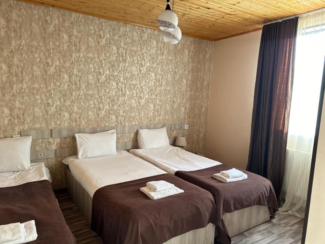 Hotel Svanseti ميستيا المظهر الخارجي الصورة