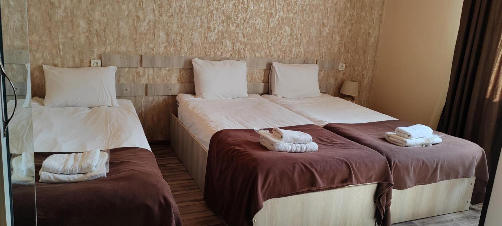 Hotel Svanseti ميستيا المظهر الخارجي الصورة