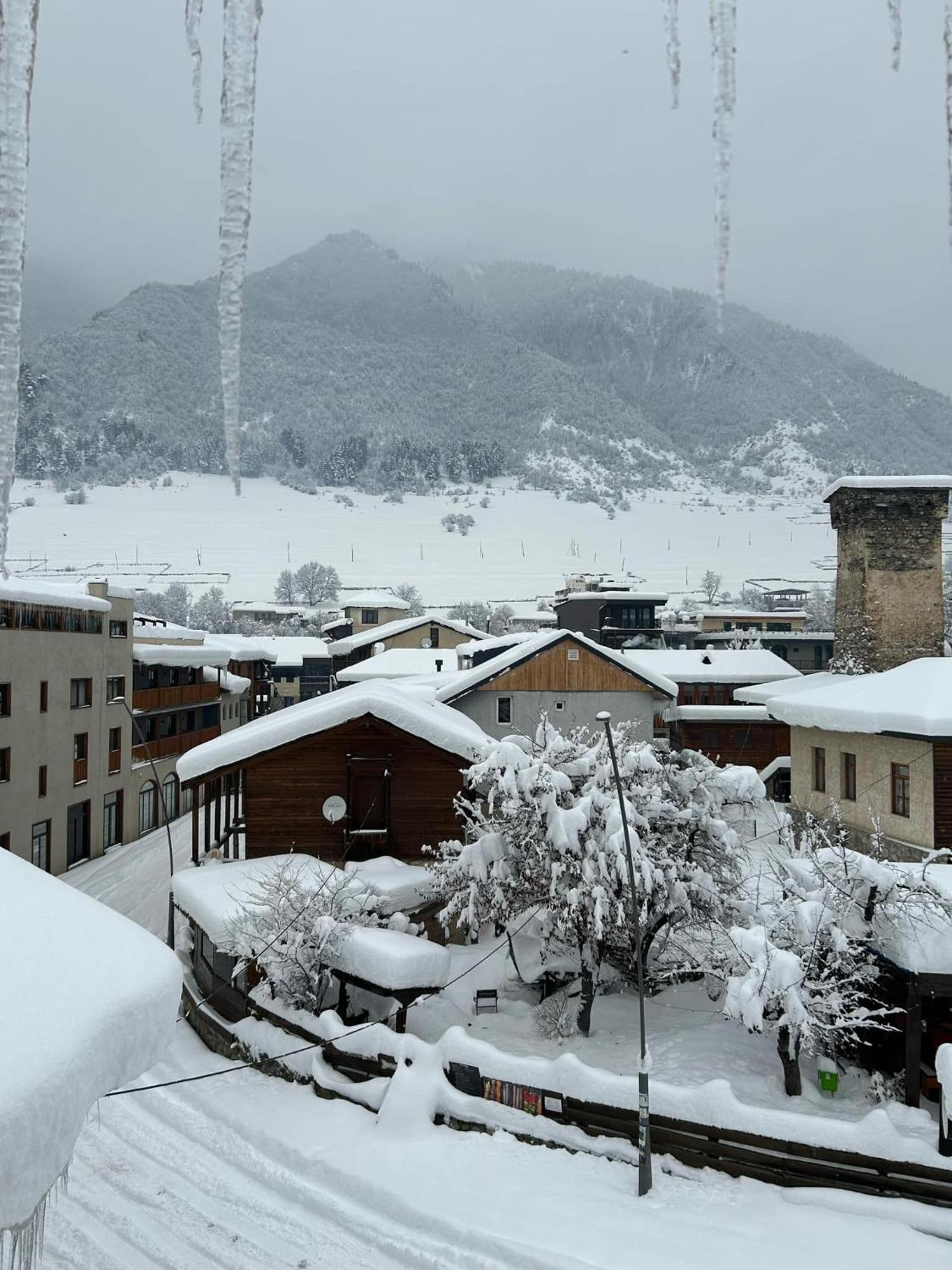 Hotel Svanseti ميستيا المظهر الخارجي الصورة